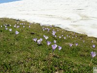 2026-05-09 Le cime di Casamaina 151
